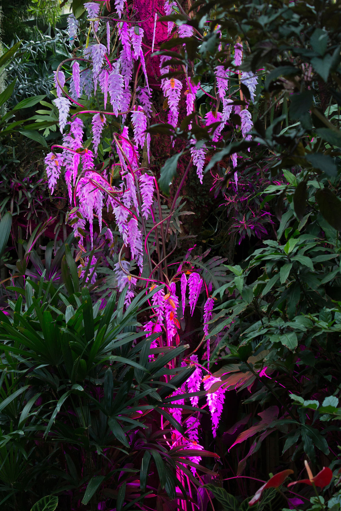 GardenOfGlass_Olson_021.jpg